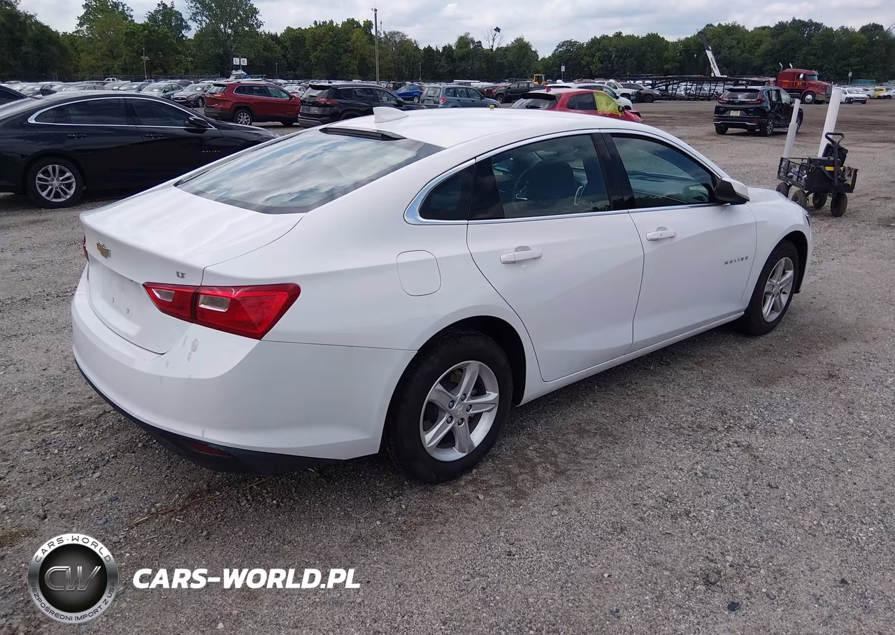 2023 Chevrolet Malibu Fwd 1Lt VIN:1G1ZD5STXPF242830 - 4