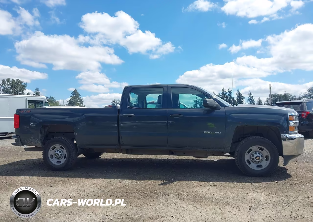 2018 Chevrolet Silverado 2500Hd Wt VIN:1GC1KUEG9JF258558 - 13