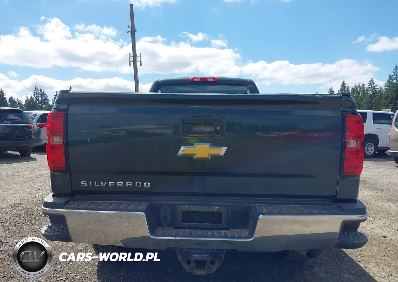 2018 Chevrolet Silverado 2500Hd Wt VIN:1GC1KUEG9JF258558 - 16
