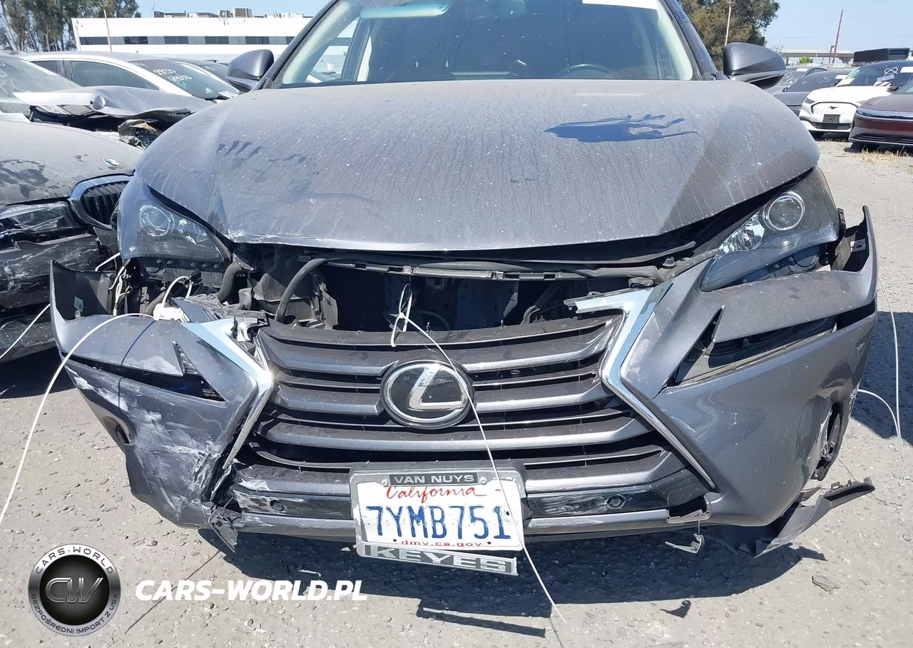 2017 Lexus Nx 200T VIN:JTJYARBZ4H2066046 - 13