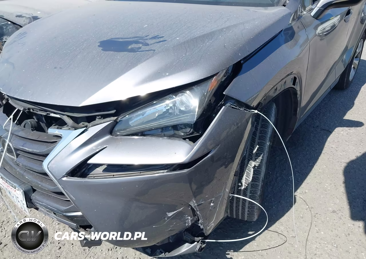 2017 Lexus Nx 200T VIN:JTJYARBZ4H2066046 - 6