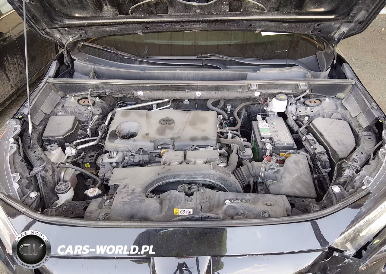 2019 Toyota Rav4 Xle VIN:2T3P1RFV4KC017967 - 10