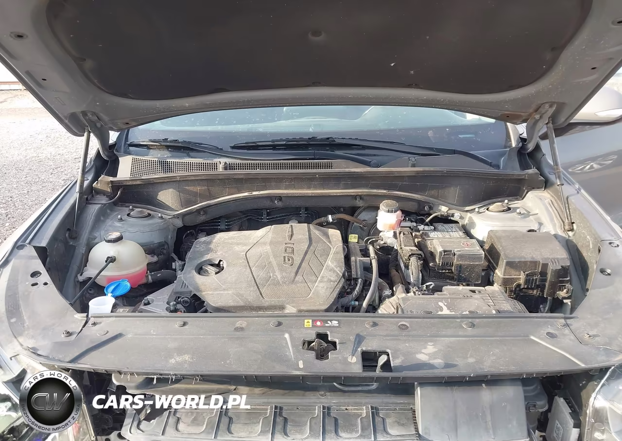 2023 Hyundai Santa Fe Sel VIN:5NMS24AJ4PH527017 - 10