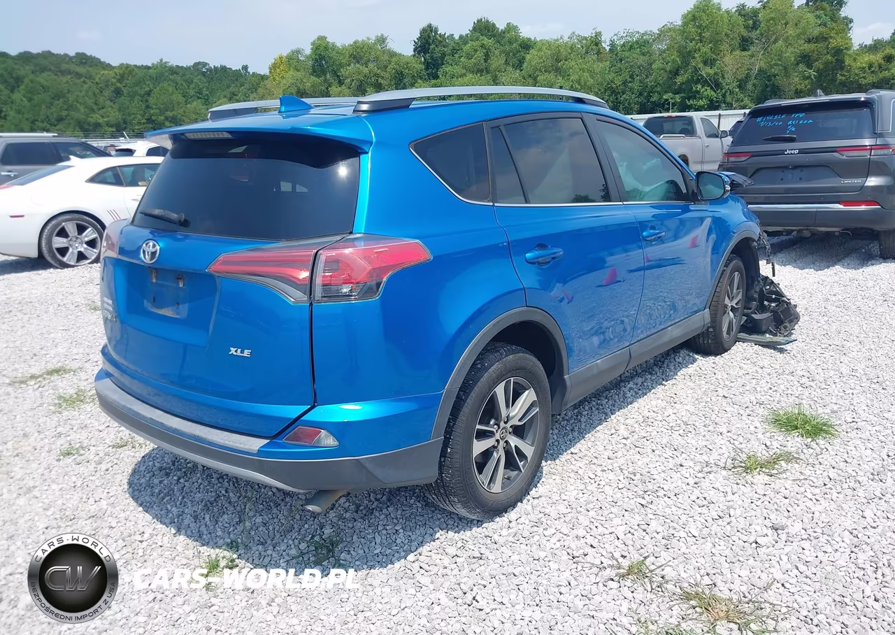 2017 Toyota Rav4 Xle VIN:2T3WFREV8HW396414 - 4