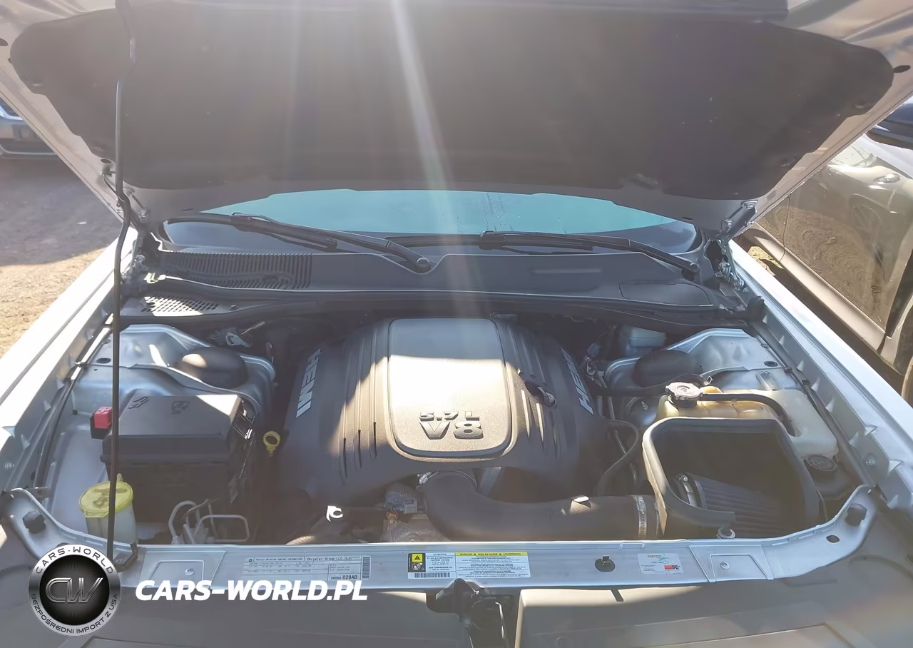 2010 Dodge Challenger R-T VIN:2B3CJ5DT4AH135041 - 10