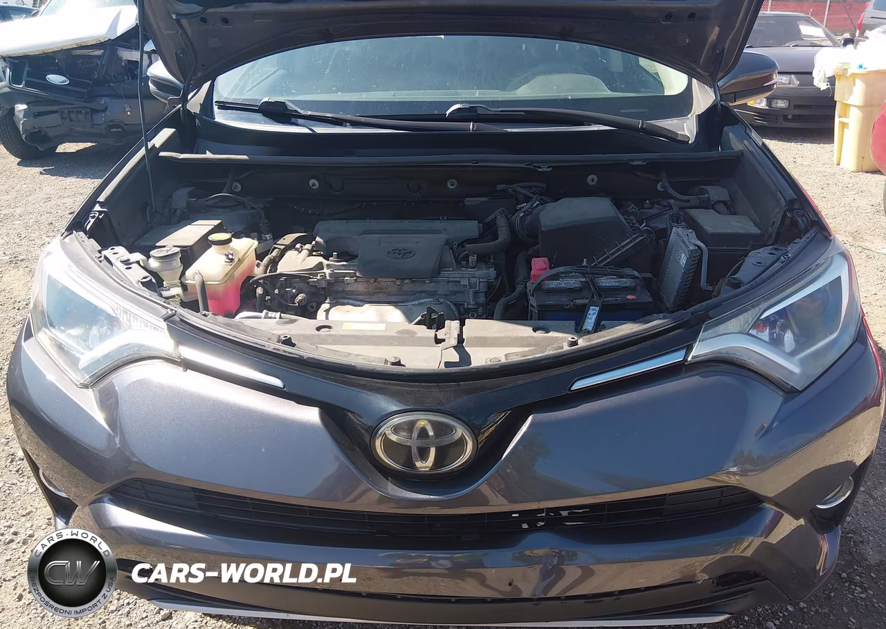 2017 Toyota Rav4 Xle VIN:2T3RFREVXHW557004 - 10
