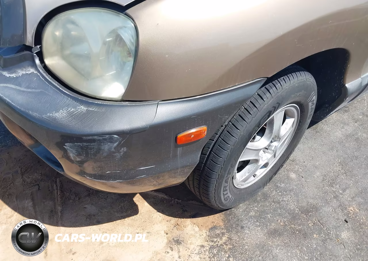 2004 Hyundai Santa Fe VIN:KM8SB12BX4U708516 - 12