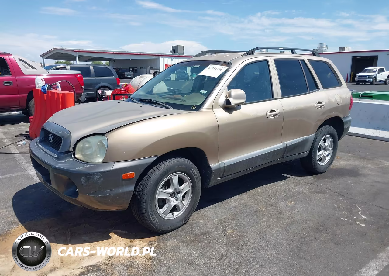 2004 Hyundai Santa Fe VIN:KM8SB12BX4U708516 - 2