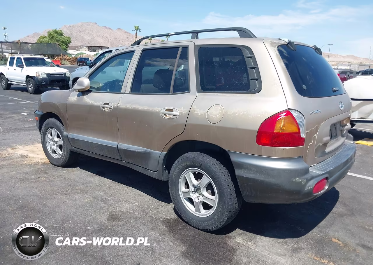 2004 Hyundai Santa Fe VIN:KM8SB12BX4U708516 - 3