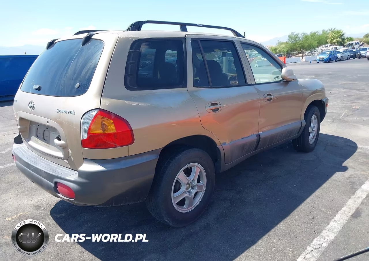 2004 Hyundai Santa Fe VIN:KM8SB12BX4U708516 - 4