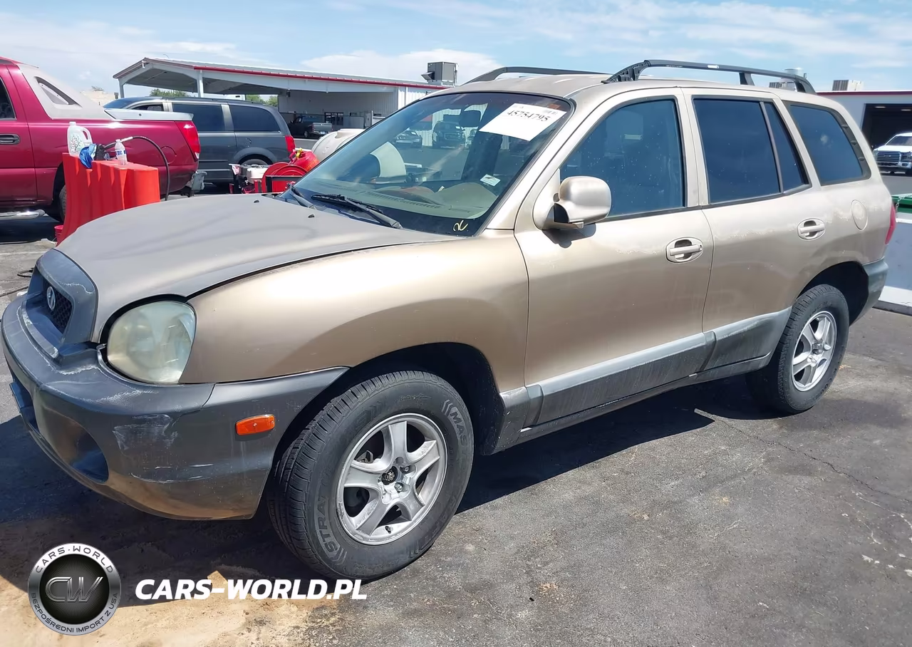 2004 Hyundai Santa Fe VIN:KM8SB12BX4U708516 - 6