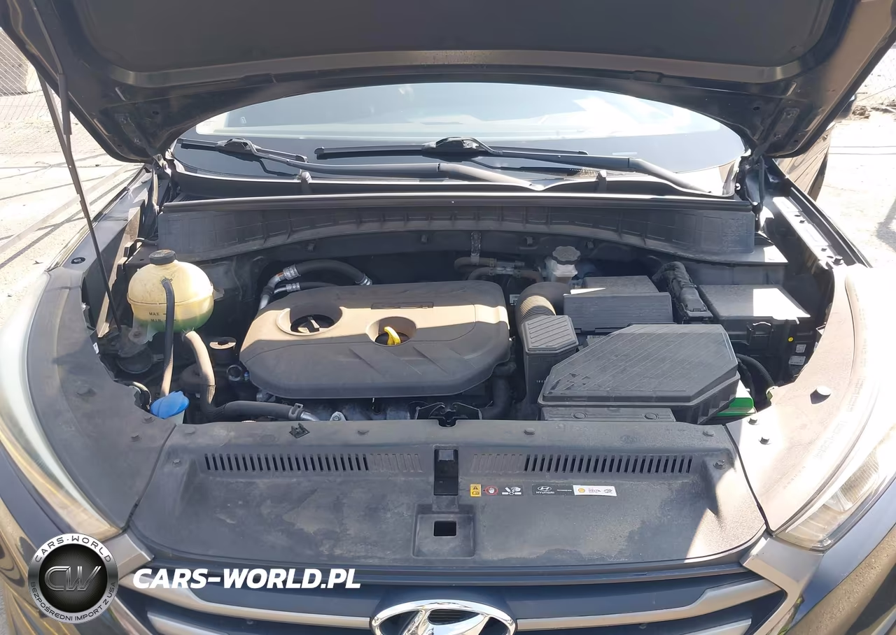 2016 Hyundai Tucson Se VIN:KM8J3CA44GU212316 - 10