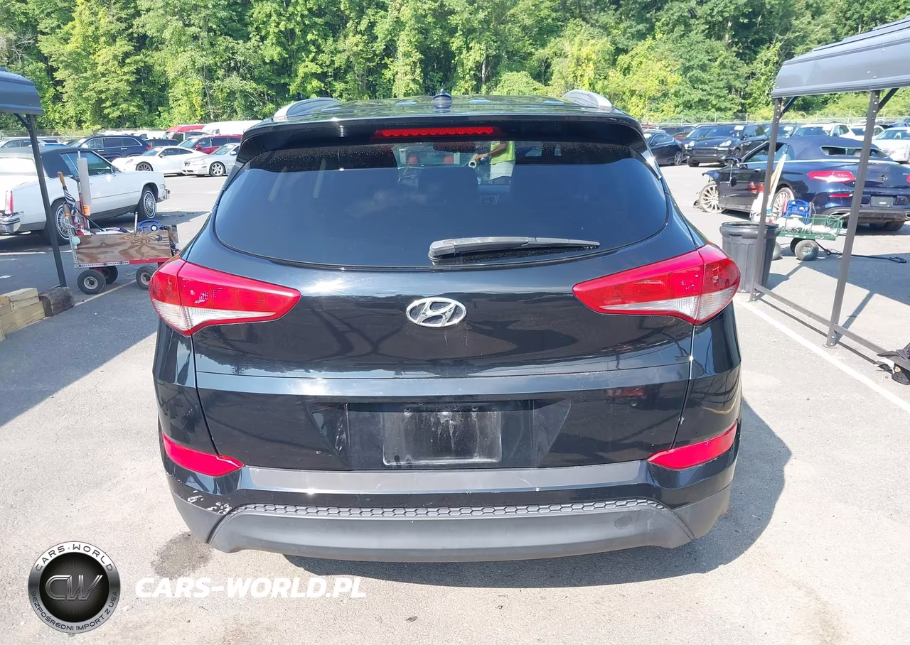 2016 Hyundai Tucson Se VIN:KM8J3CA44GU212316 - 17