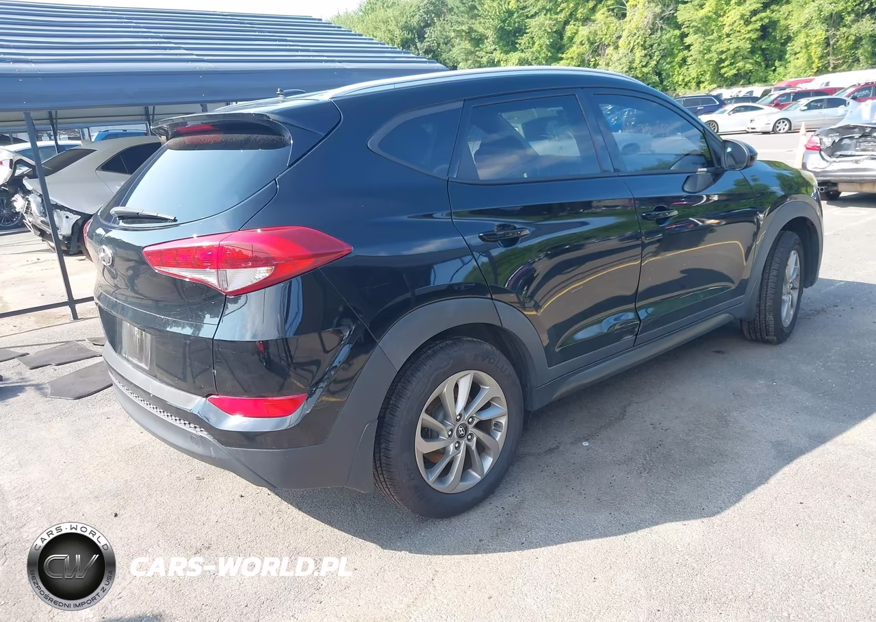 2016 Hyundai Tucson Se VIN:KM8J3CA44GU212316 - 4