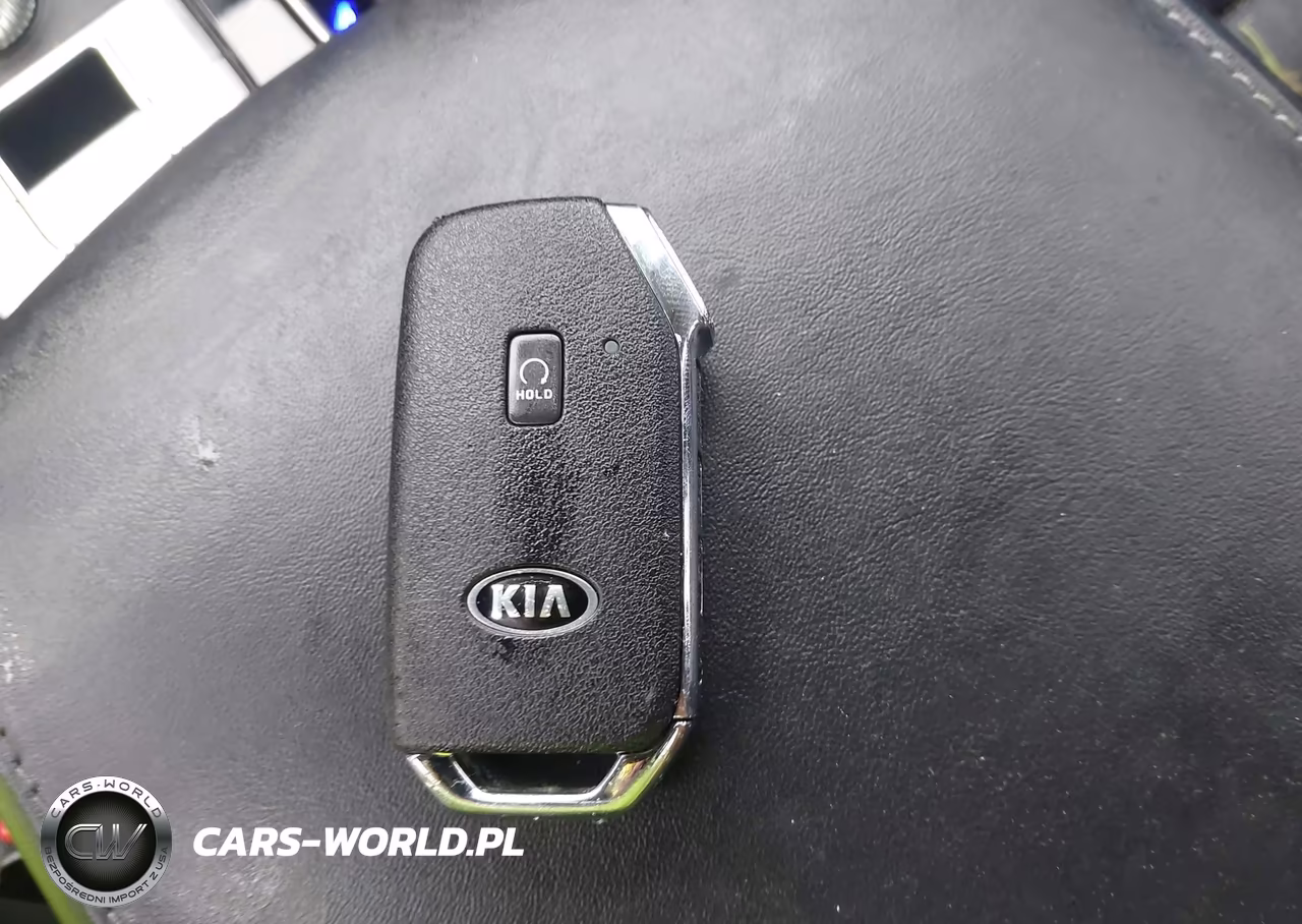 2021 Kia Telluride Sx VIN:5XYP54HC1MG112862 - 11