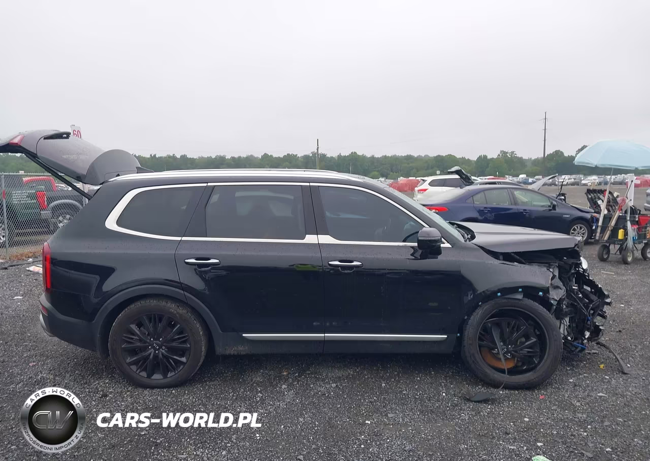2021 Kia Telluride Sx VIN:5XYP54HC1MG112862 - 13