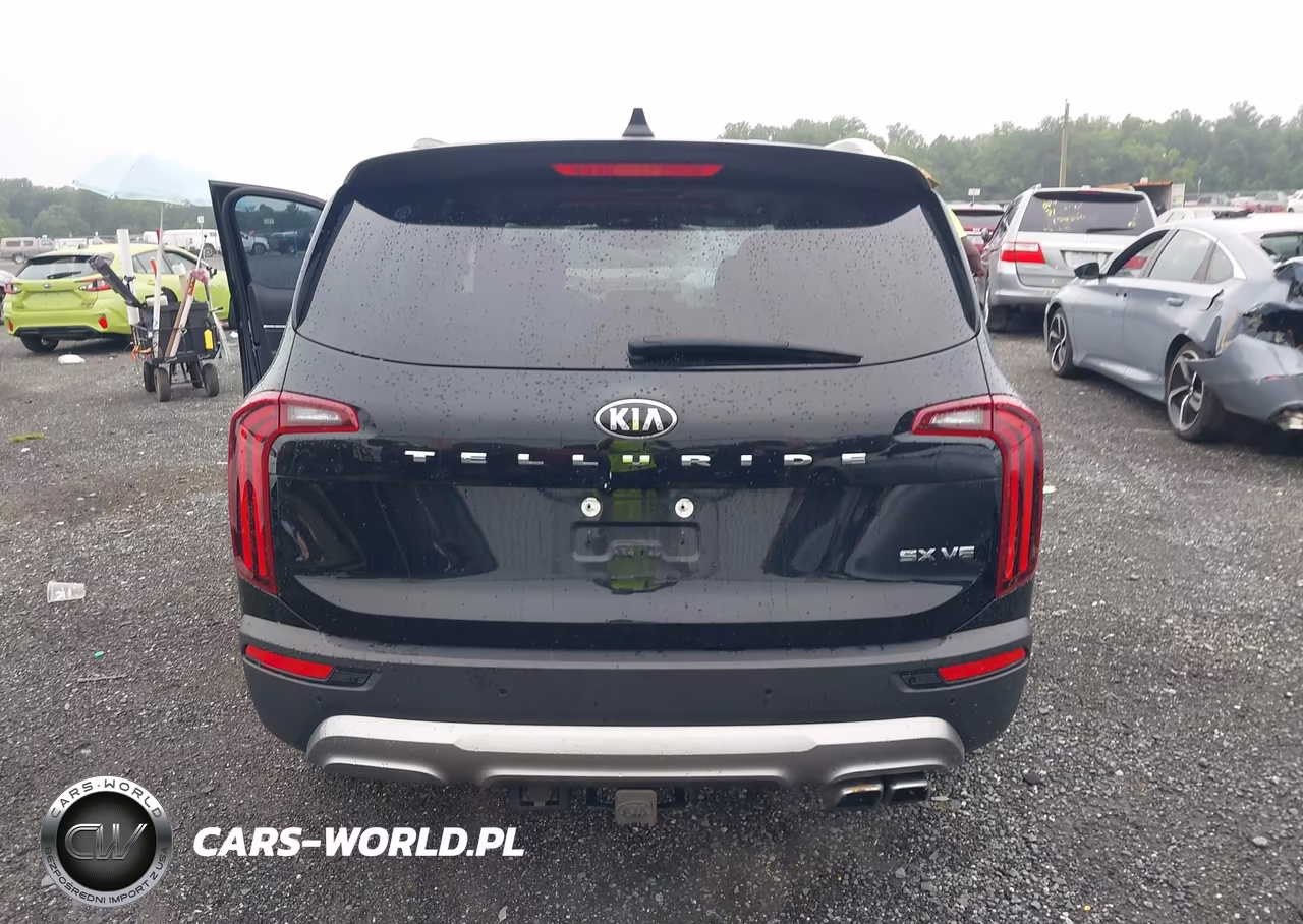 2021 Kia Telluride Sx VIN:5XYP54HC1MG112862 - 16