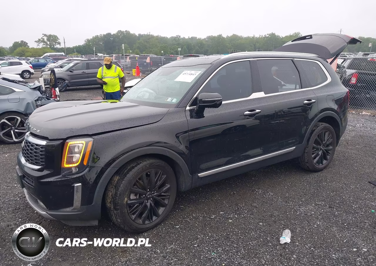 2021 Kia Telluride Sx VIN:5XYP54HC1MG112862 - 2
