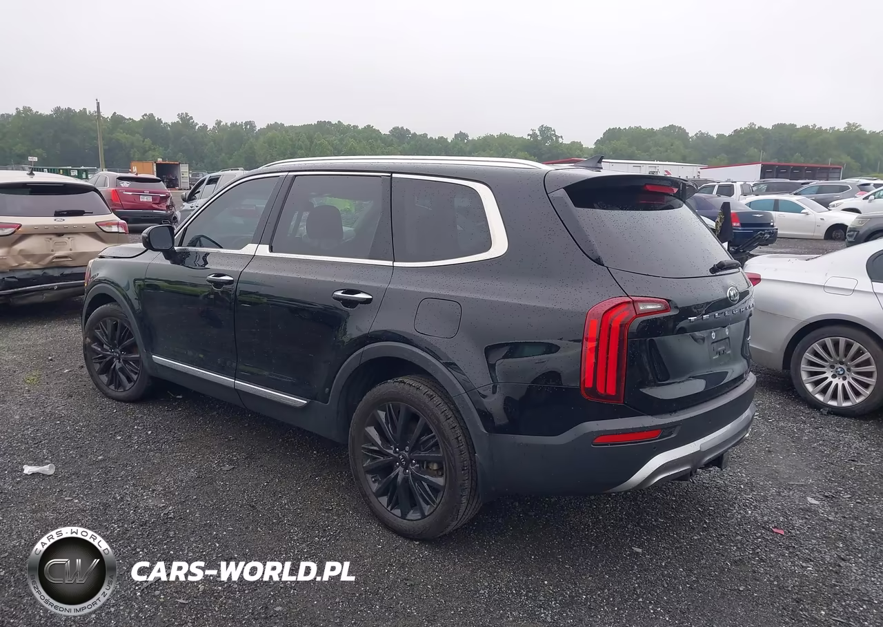 2021 Kia Telluride Sx VIN:5XYP54HC1MG112862 - 3