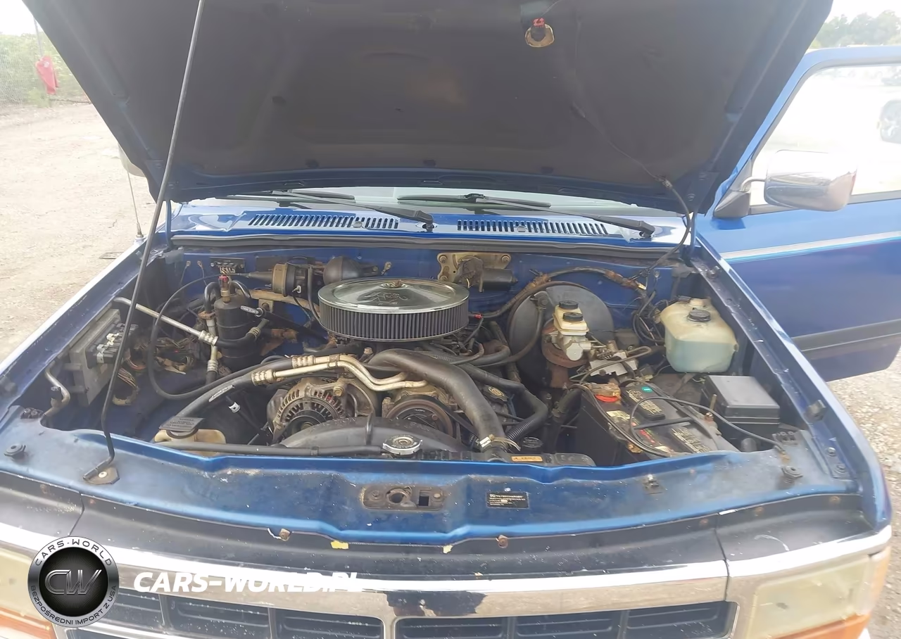 1996 Dodge Dakota VIN:1B7GG23Y7TS560372 - 10