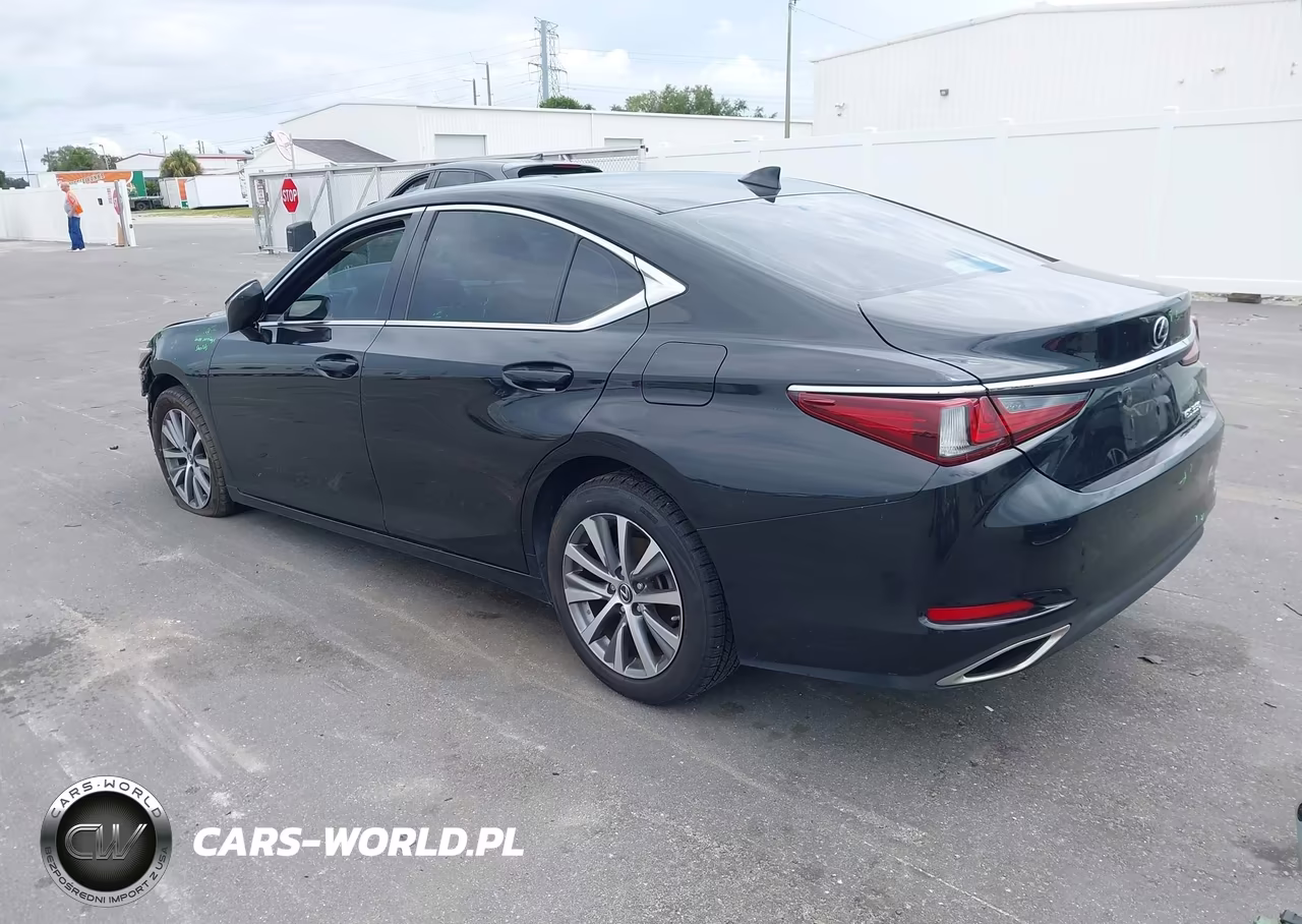2019 Lexus Es 350 VIN:58ABZ1B16KU035054 - 3