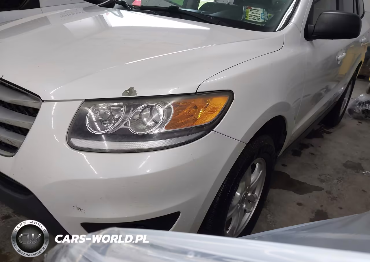 2012 Hyundai Santa Fe Gls VIN:5XYZG3ABXCG115224 - 2