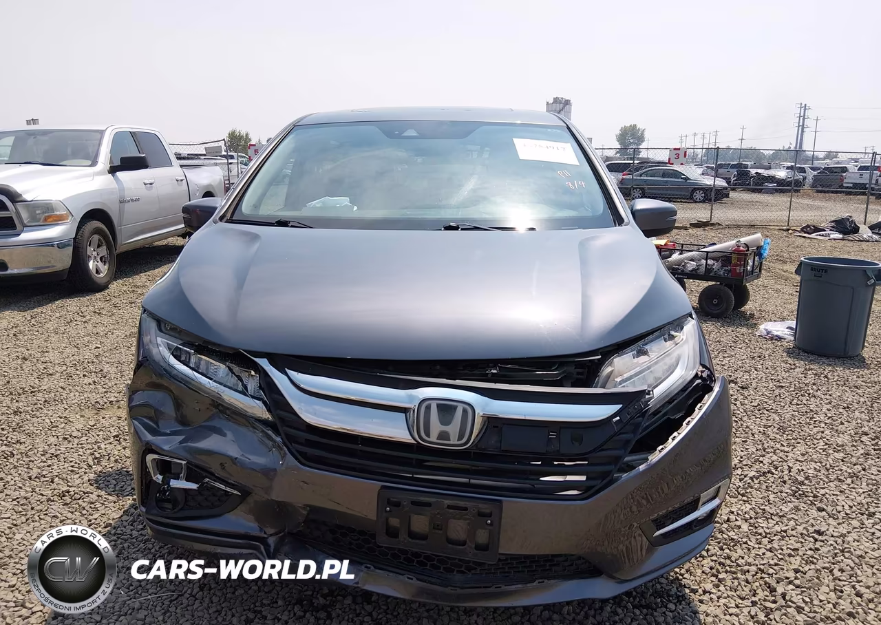 2018 Honda Odyssey Elite VIN:5FNRL6H97JB089556 - 12