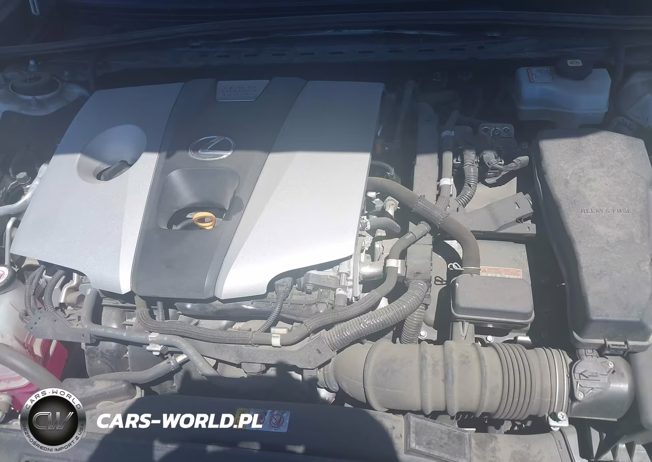 2021 Lexus Es 300H VIN:58ADA1C14MU003768 - 10