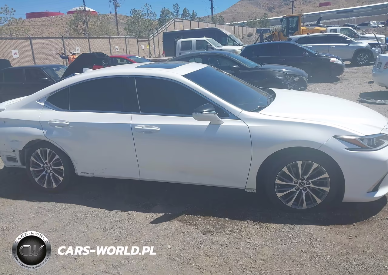 2021 Lexus Es 300H VIN:58ADA1C14MU003768 - 13