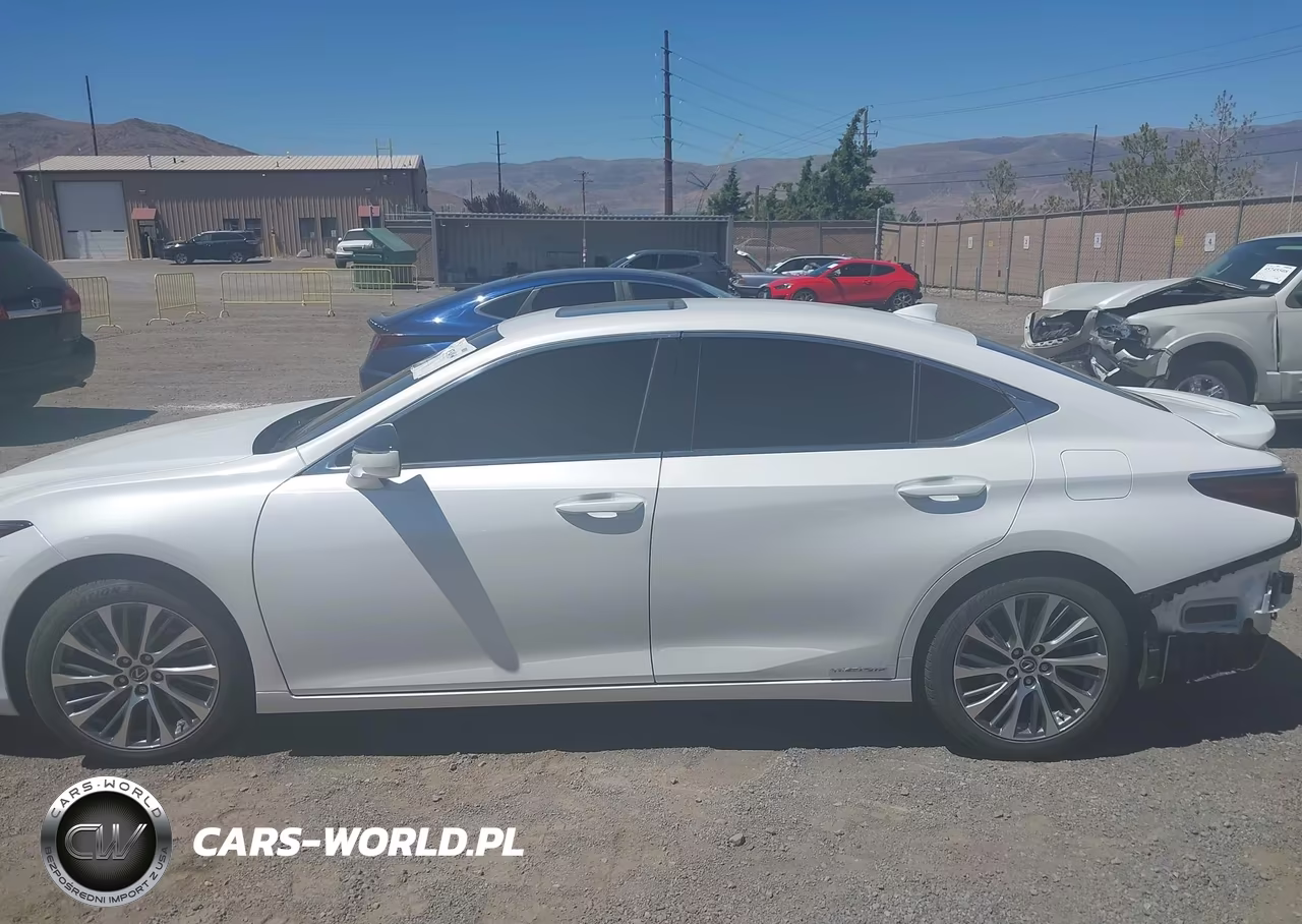 2021 Lexus Es 300H VIN:58ADA1C14MU003768 - 14