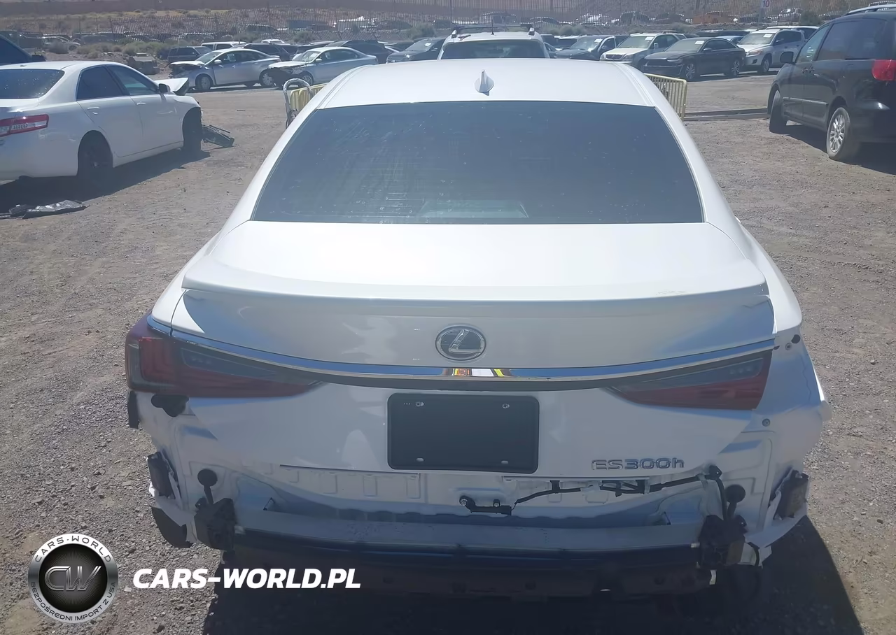 2021 Lexus Es 300H VIN:58ADA1C14MU003768 - 16