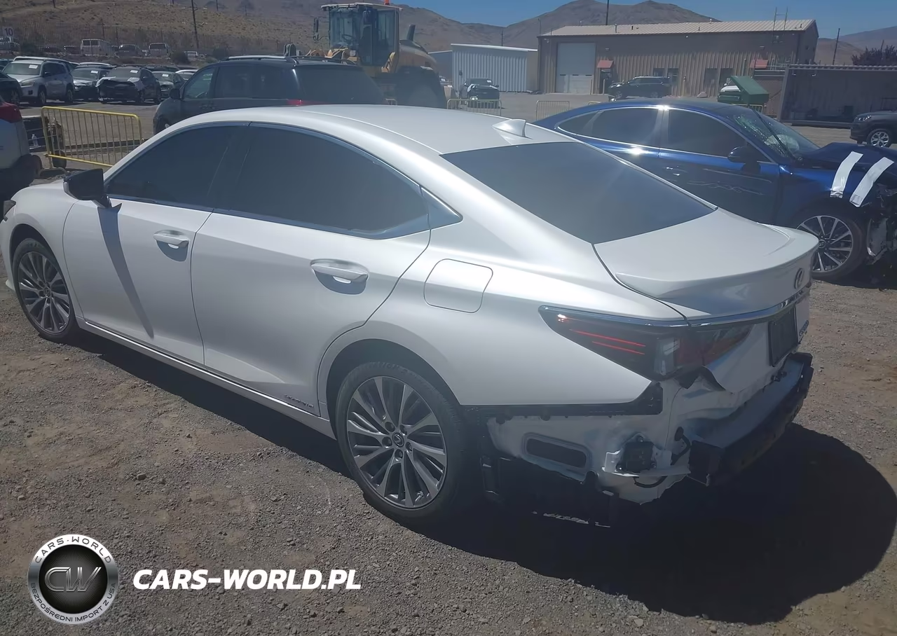 2021 Lexus Es 300H VIN:58ADA1C14MU003768 - 3