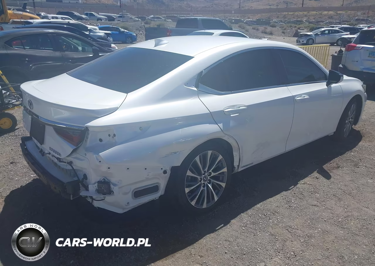 2021 Lexus Es 300H VIN:58ADA1C14MU003768 - 4