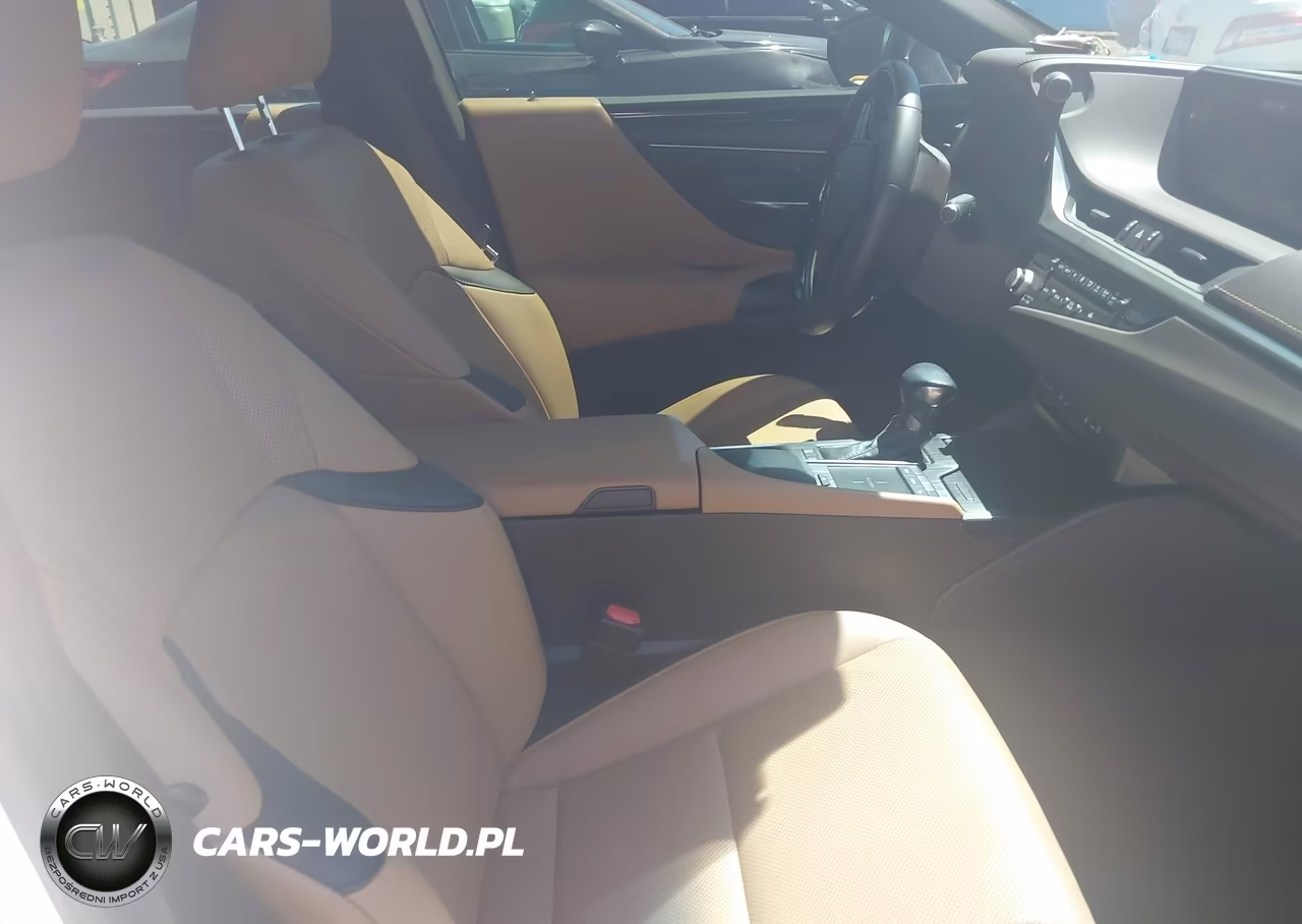 2021 Lexus Es 300H VIN:58ADA1C14MU003768 - 5