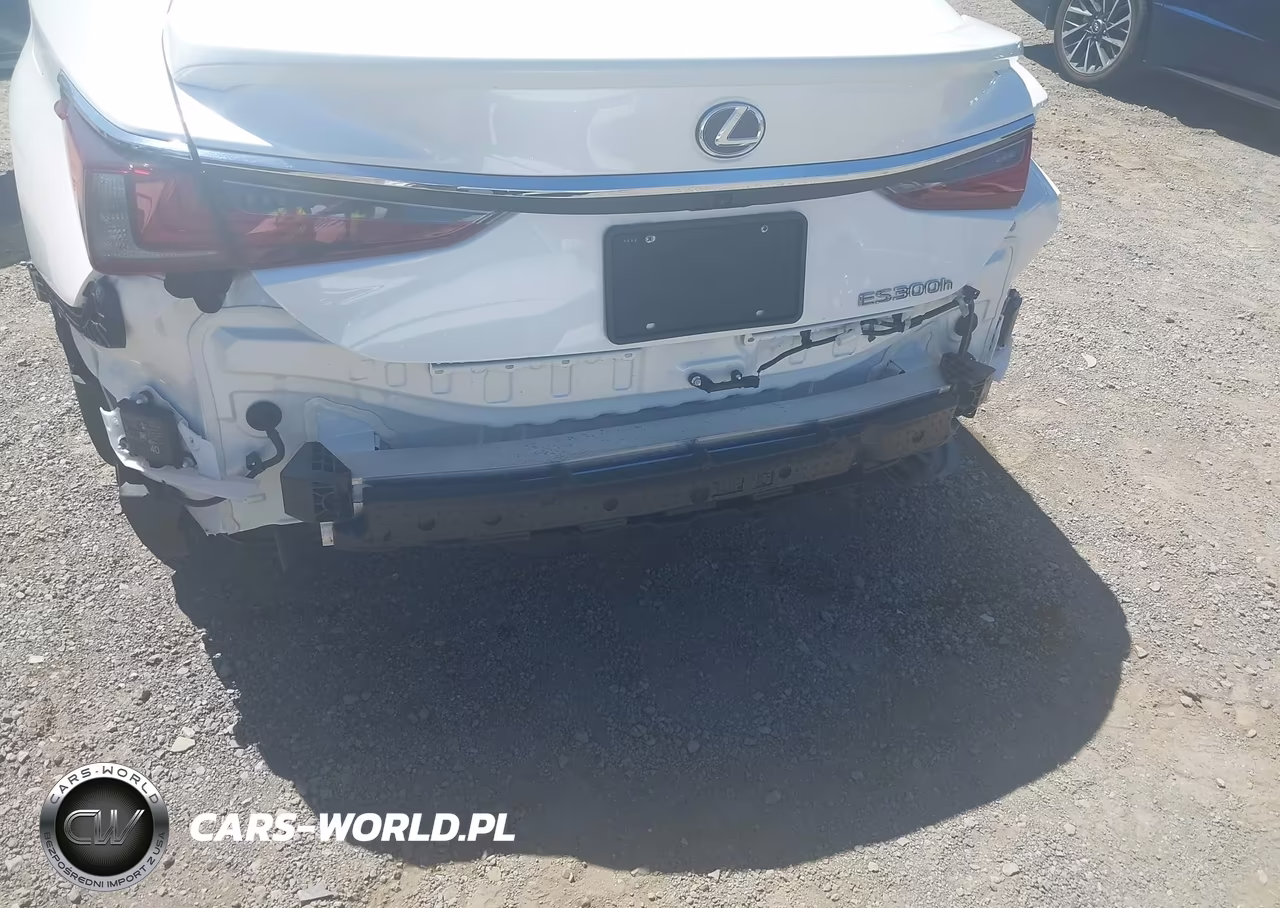 2021 Lexus Es 300H VIN:58ADA1C14MU003768 - 6
