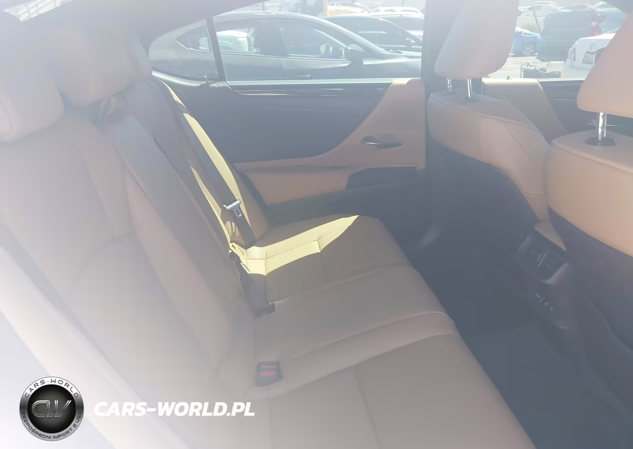 2021 Lexus Es 300H VIN:58ADA1C14MU003768 - 8