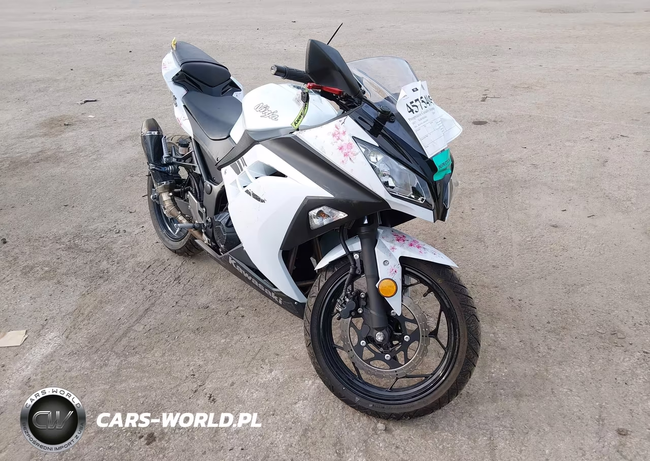2017 Kawasaki Ex300 A – zdjęcie 1 z 15