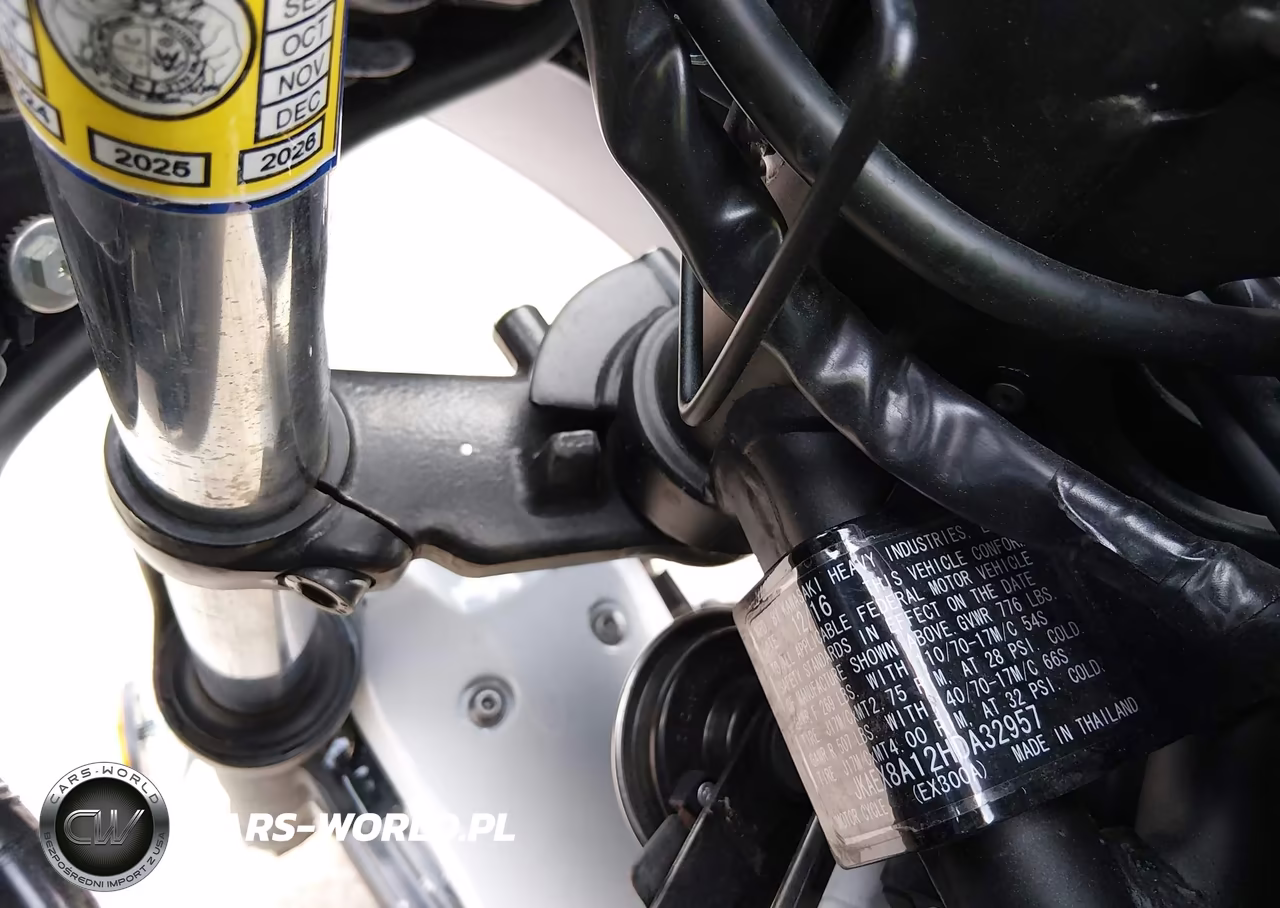 2017 Kawasaki Ex300 A VIN:JKAEX8A12HDA32957 - 10