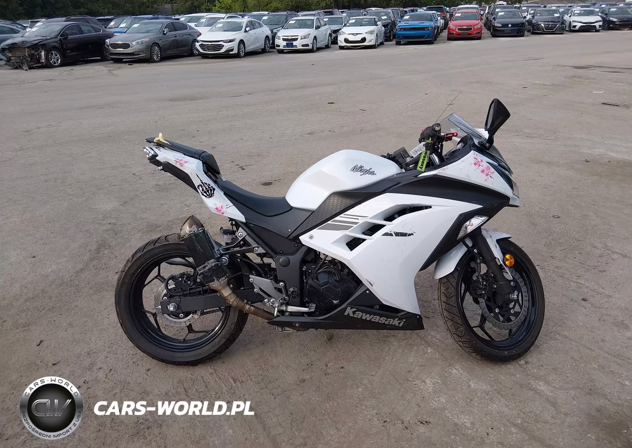 2017 Kawasaki Ex300 A VIN:JKAEX8A12HDA32957 - 12
