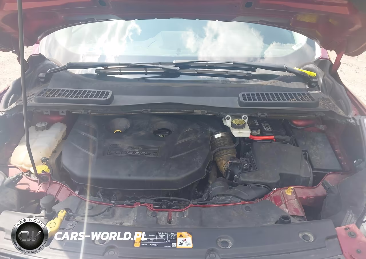 2013 Ford Escape Sel VIN:1FMCU9H97DUD76973 - 10
