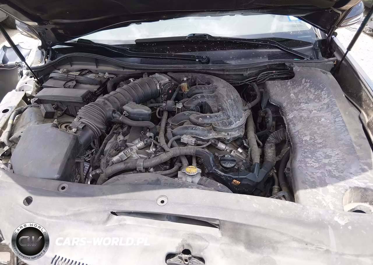 2009 Lexus Gs 350 VIN:JTHBE96S390045663 - 10