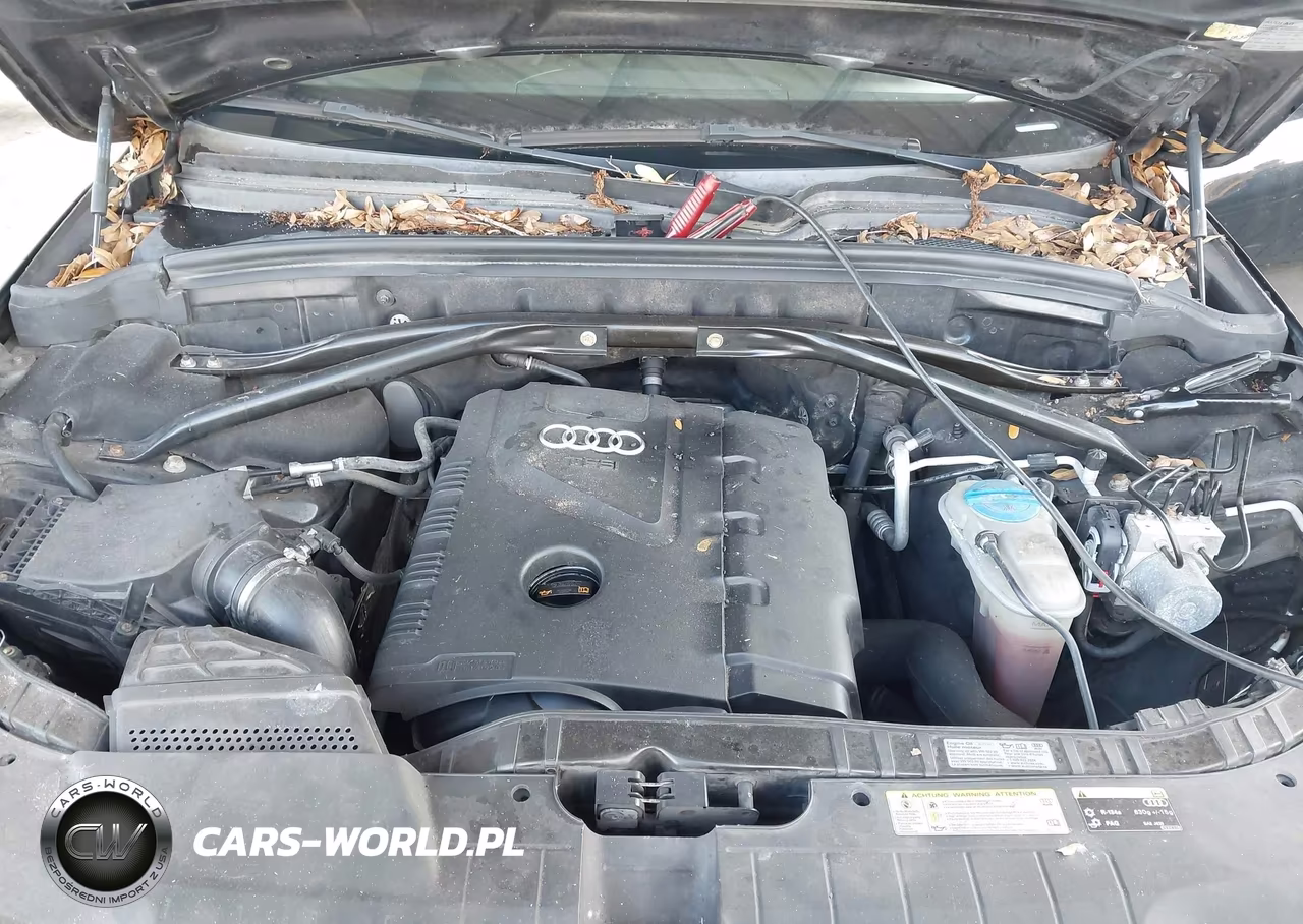 2013 Audi Q5 2.0T Premium VIN:WA1CFAFP0DA042510 - 10