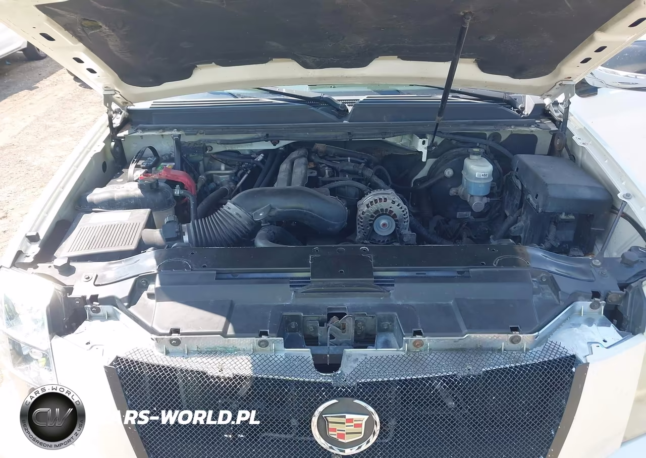 2009 Cadillac Escalade Esv Standard VIN:1GYFK26229R253509 - 10
