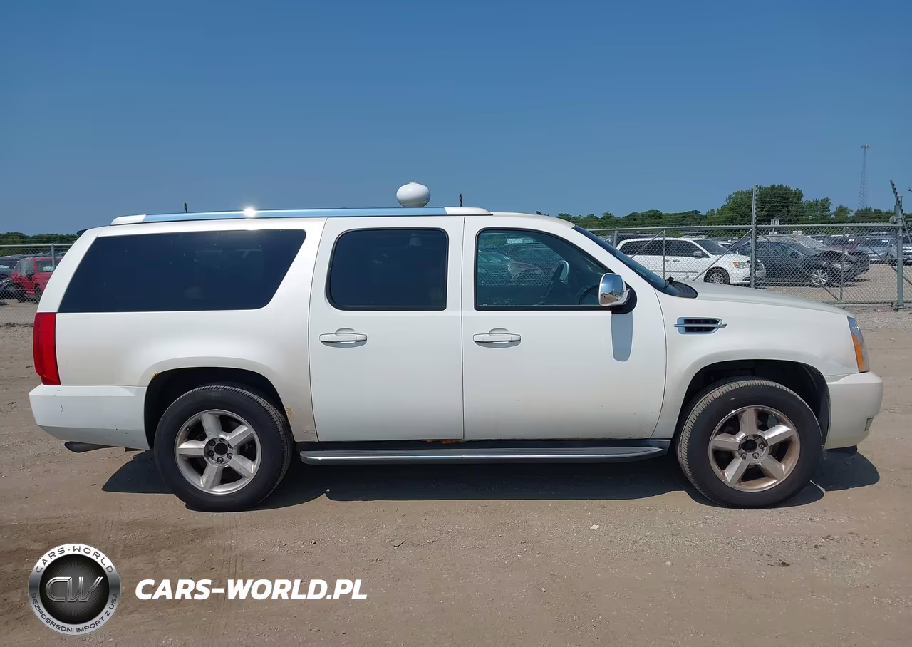 2009 Cadillac Escalade Esv Standard VIN:1GYFK26229R253509 - 13