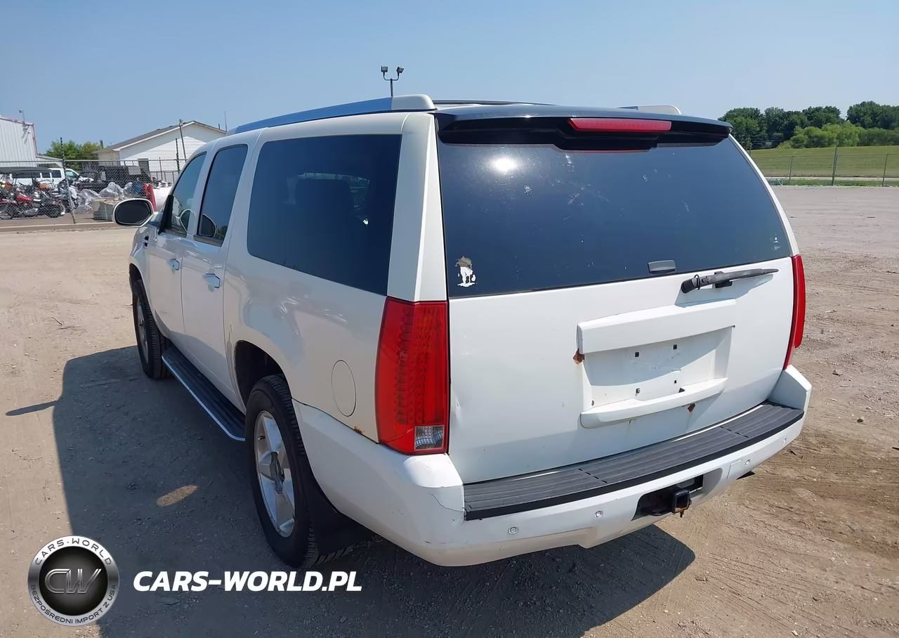 2009 Cadillac Escalade Esv Standard VIN:1GYFK26229R253509 - 3