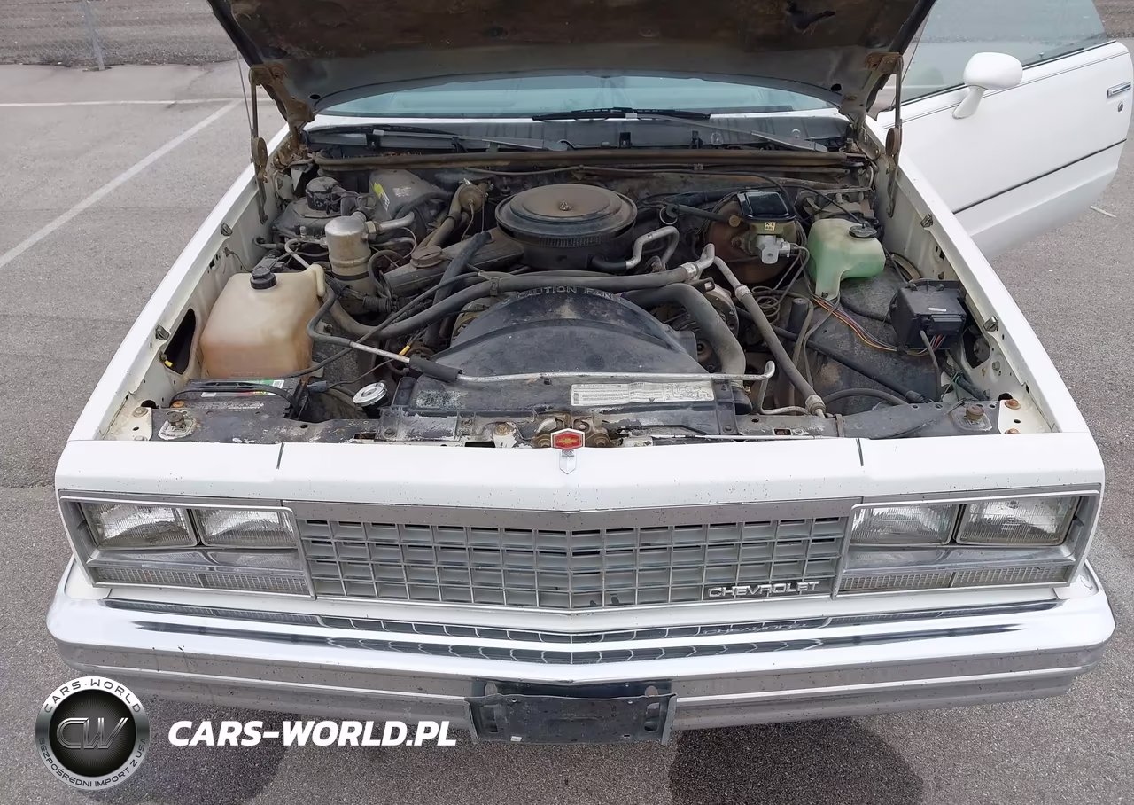 1984 Chevrolet El Camino VIN:1GCCW8098ER131902 - 10