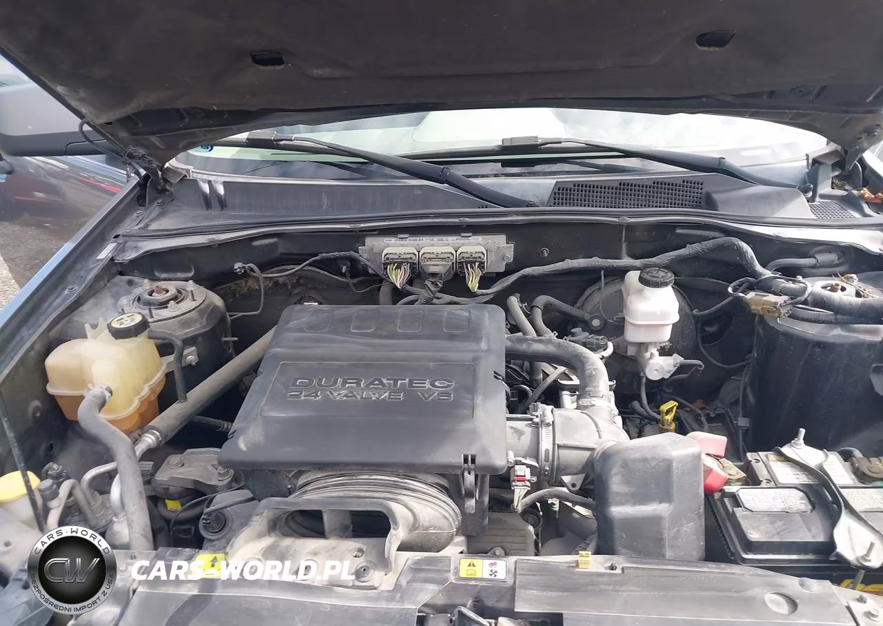2009 Ford Escape Xlt VIN:1FMCU93G99KA36054 - 10