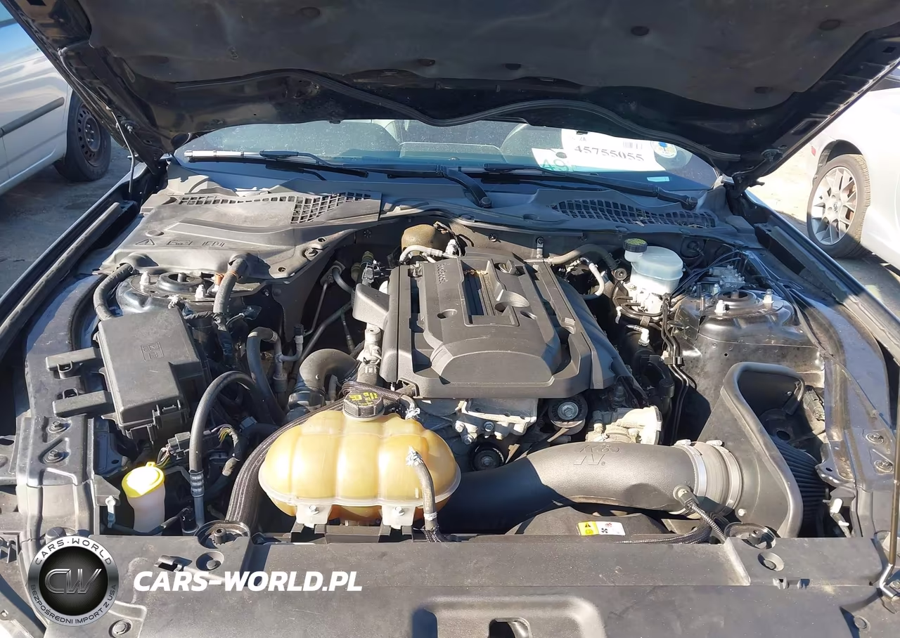 2015 Ford Mustang Ecoboost VIN:1FA6P8TH5F5377916 - 10