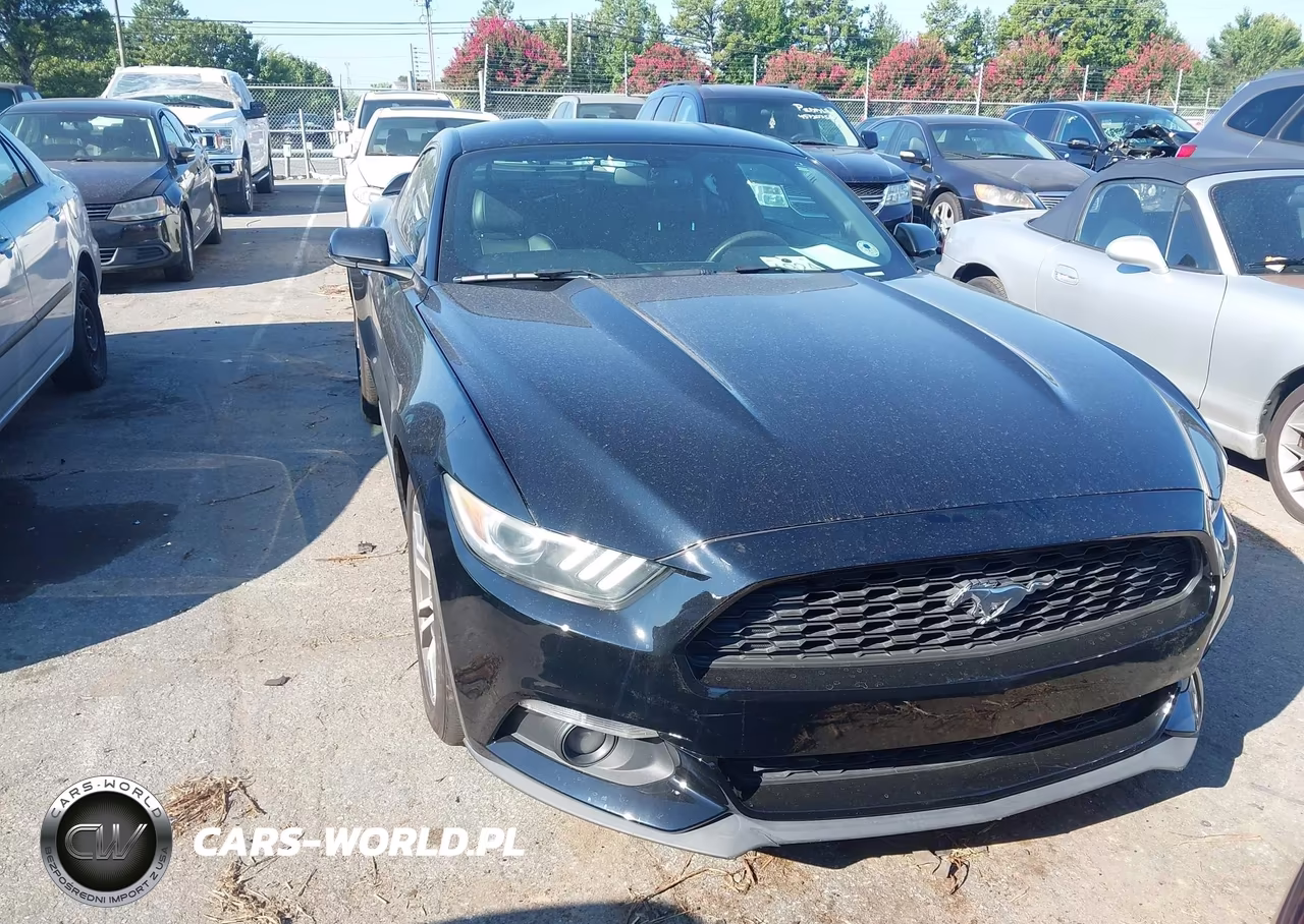2015 Ford Mustang Ecoboost VIN:1FA6P8TH5F5377916 - 12