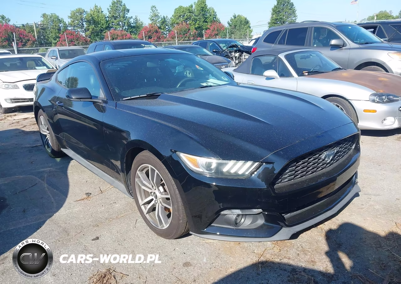 2015 Ford Mustang Ecoboost VIN:1FA6P8TH5F5377916 - 13